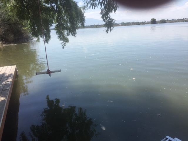 Sewer spill